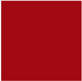 Dupli-Color BFM0306 Cardinal Red Perfect Match Ford Touch-Up Spray Paint 8oz